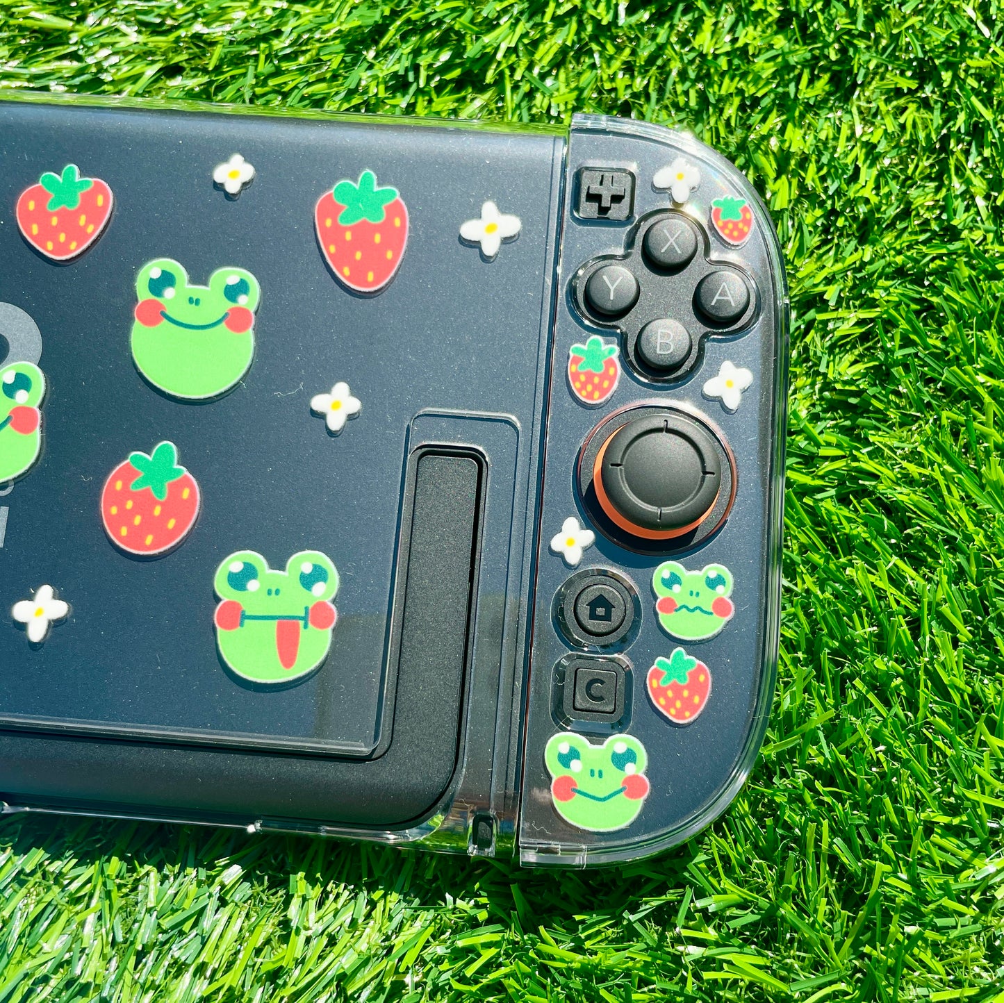 Strawberry Frog Nintendo Switch 2 Case image 3