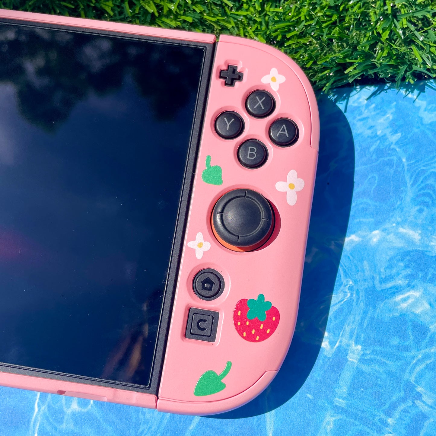 Strawberry Hard Nintendo Switch 2 Case