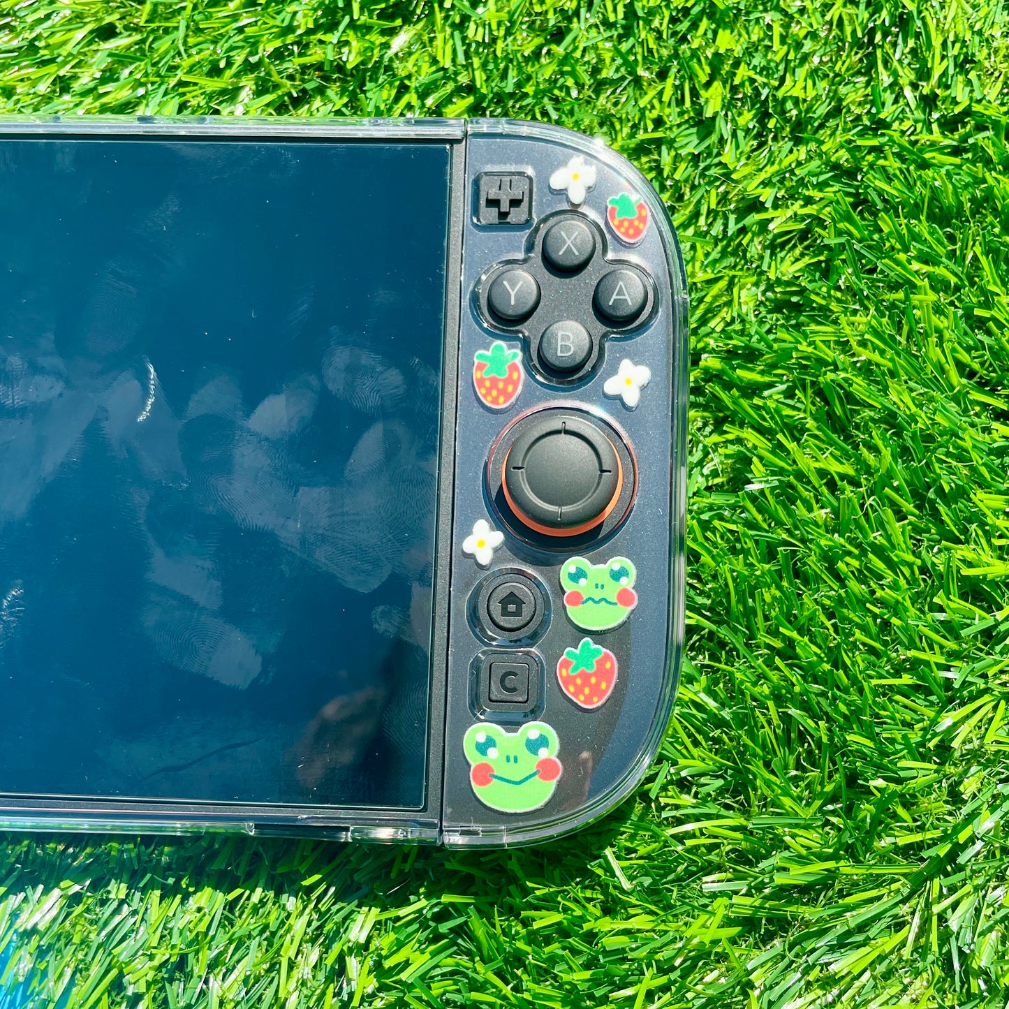 Strawberry Frog Nintendo Switch 2 Case image 8