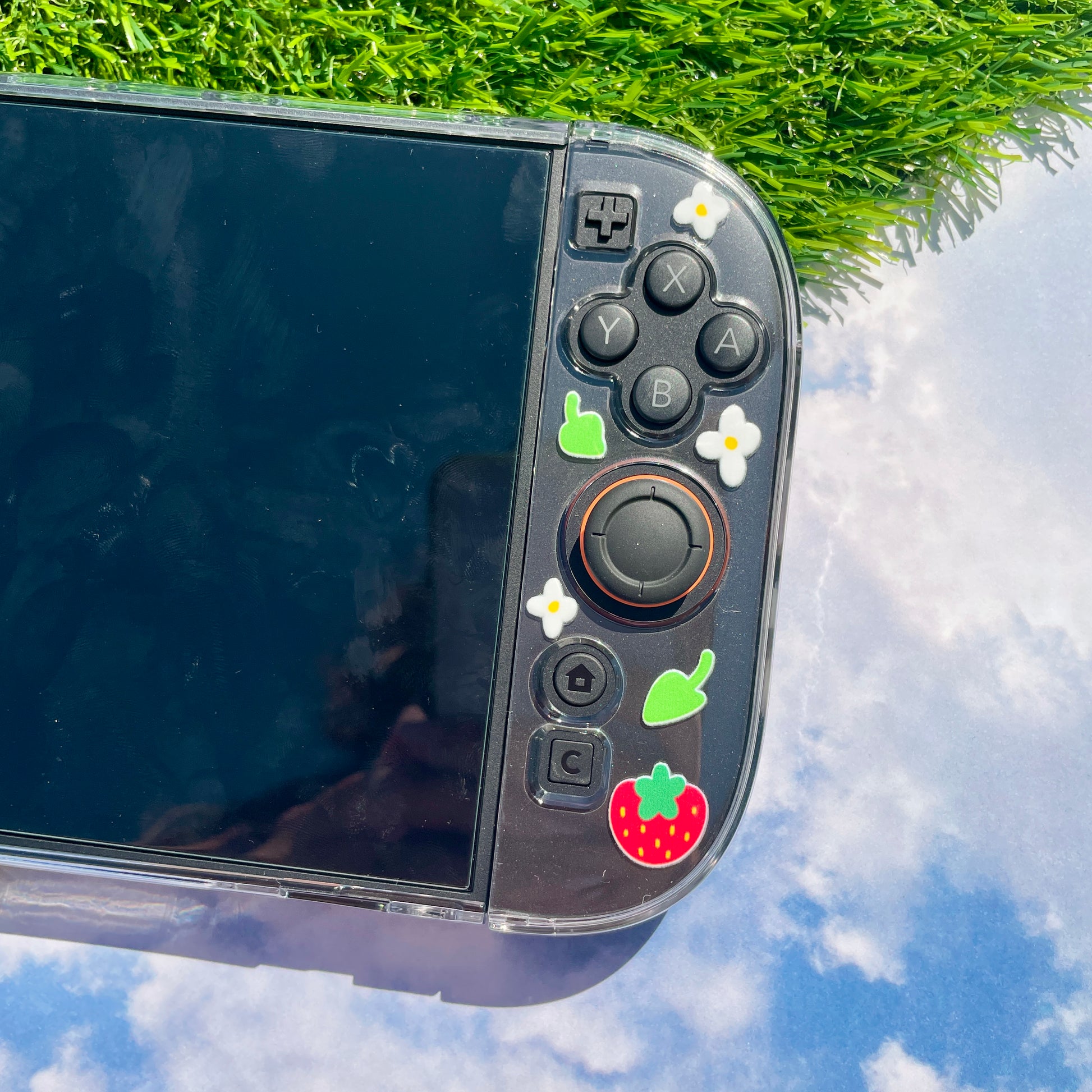 Strawberry Nintendo Switch 2 Case image 6